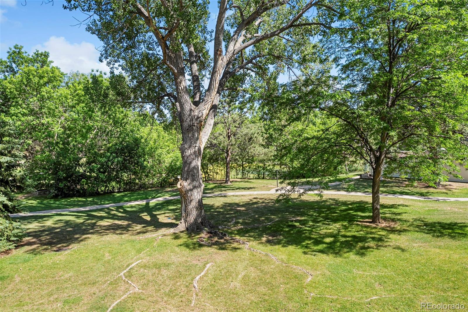 MLS Image #21 for 1200  golden circle 204,golden, Colorado