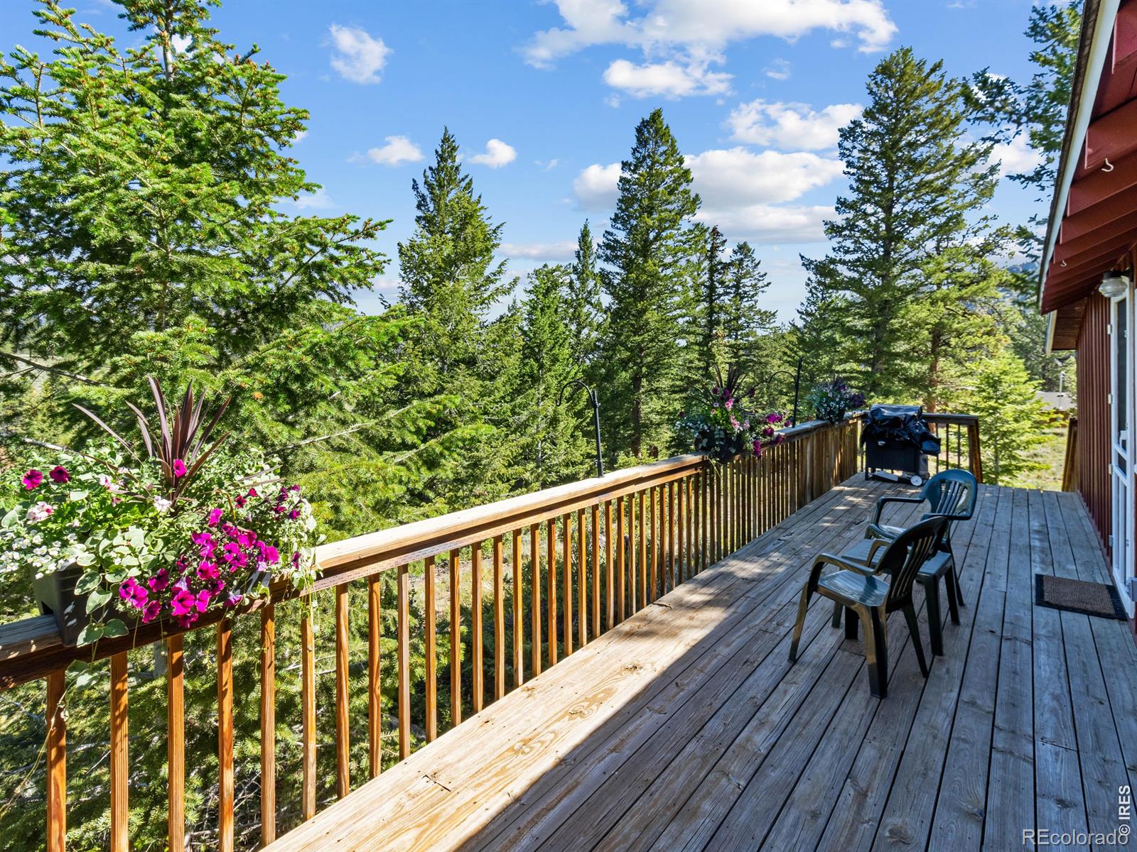 MLS Image #21 for 3235  tunnel road,estes park, Colorado