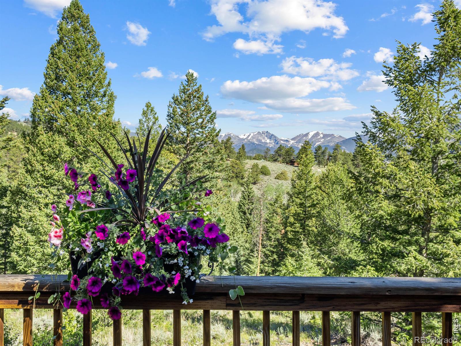 MLS Image #22 for 3235  tunnel road,estes park, Colorado