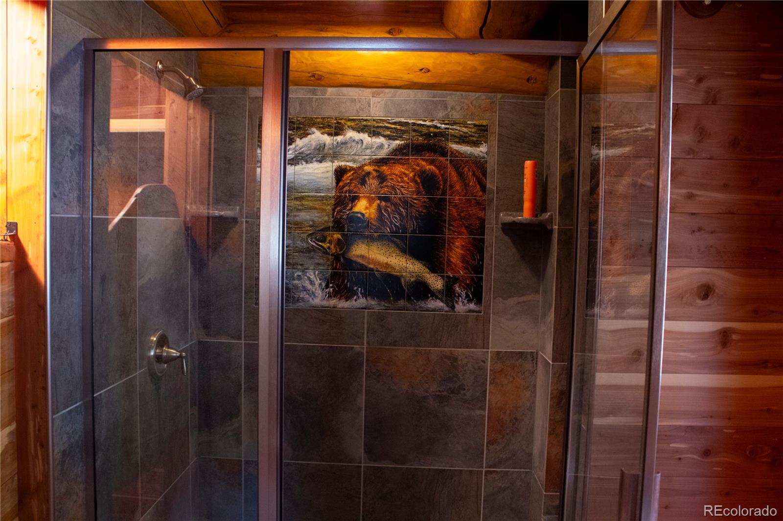 MLS Image #20 for 560  cap rock drive,canon city, Colorado