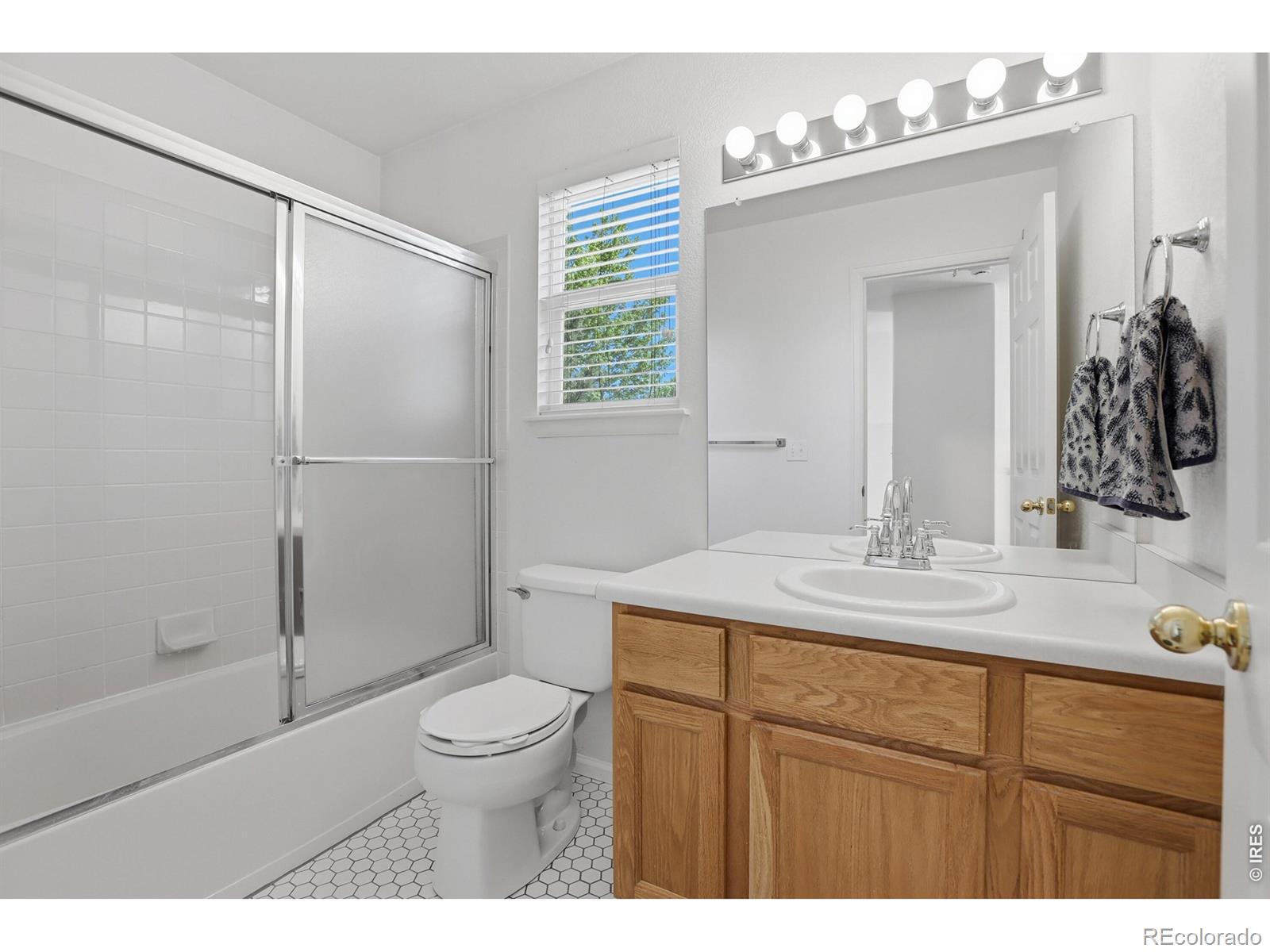 MLS Image #7 for 8814 s field court,littleton, Colorado