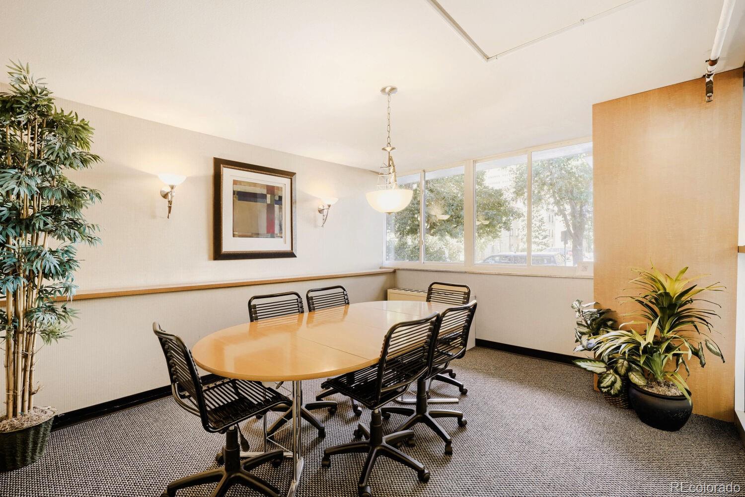 MLS Image #10 for 1196 n grant street,denver, Colorado