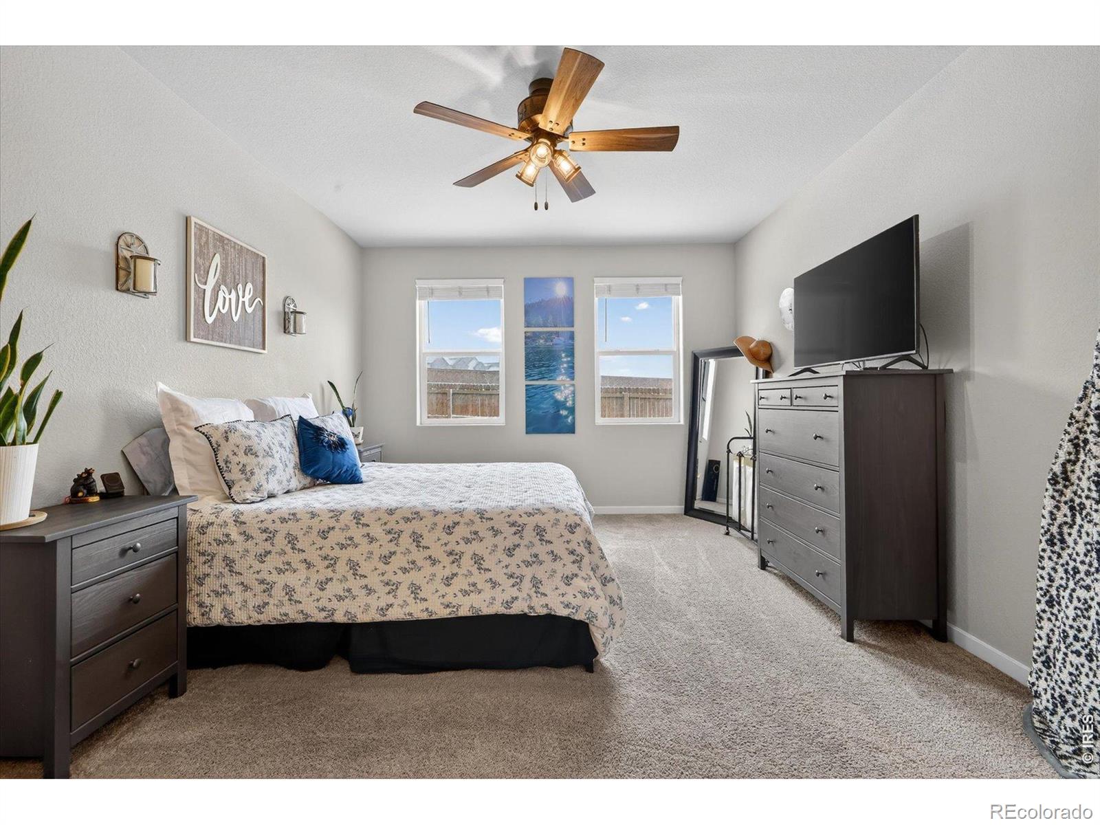 MLS Image #19 for 113  jacobs way,lochbuie, Colorado
