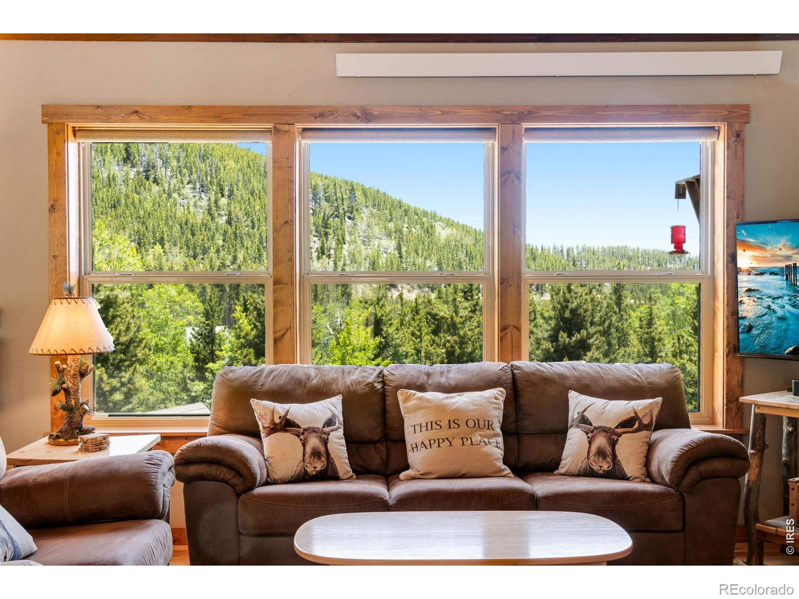 MLS Image #16 for 2272  osage trail,red feather lakes, Colorado