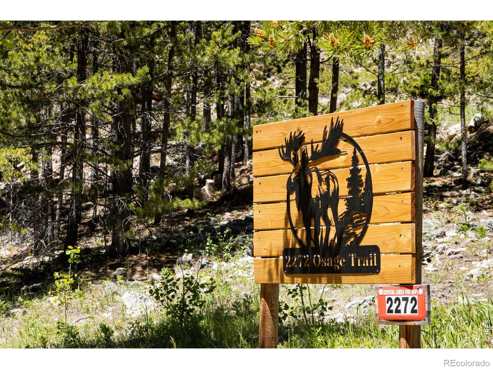 MLS Image #2 for 2272  osage trail,red feather lakes, Colorado