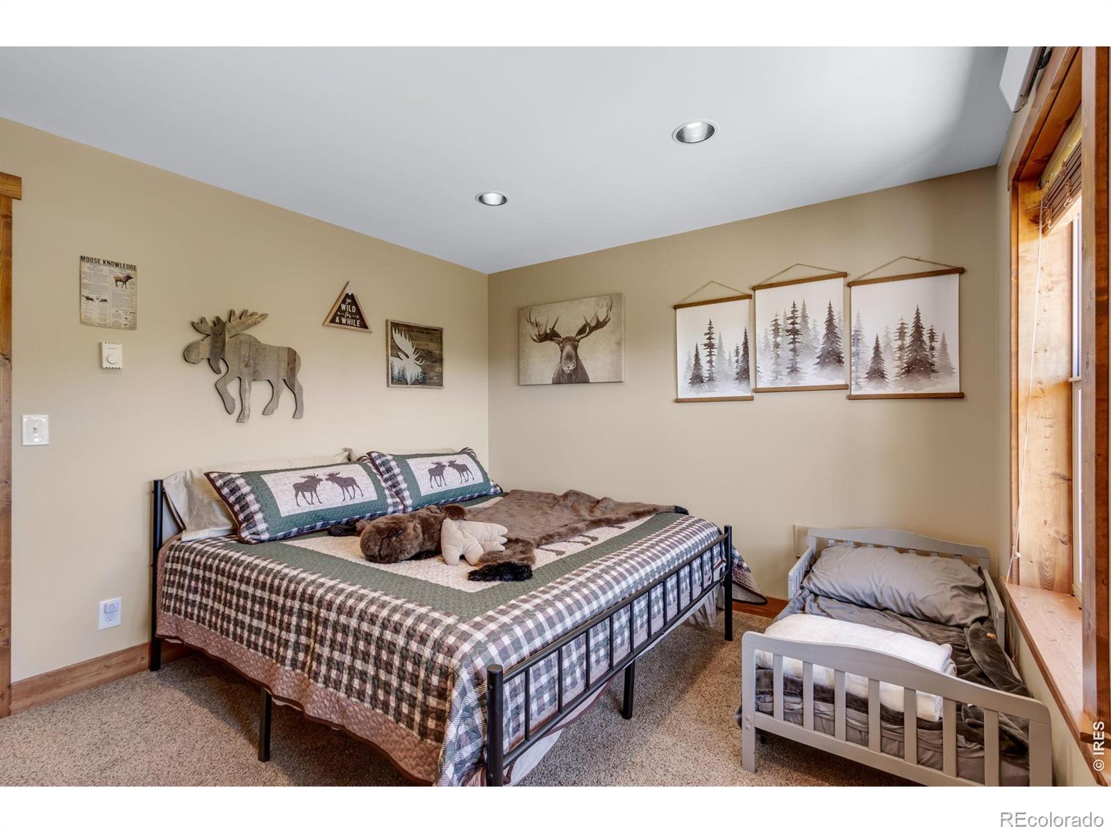 MLS Image #41 for 2272  osage trail,red feather lakes, Colorado