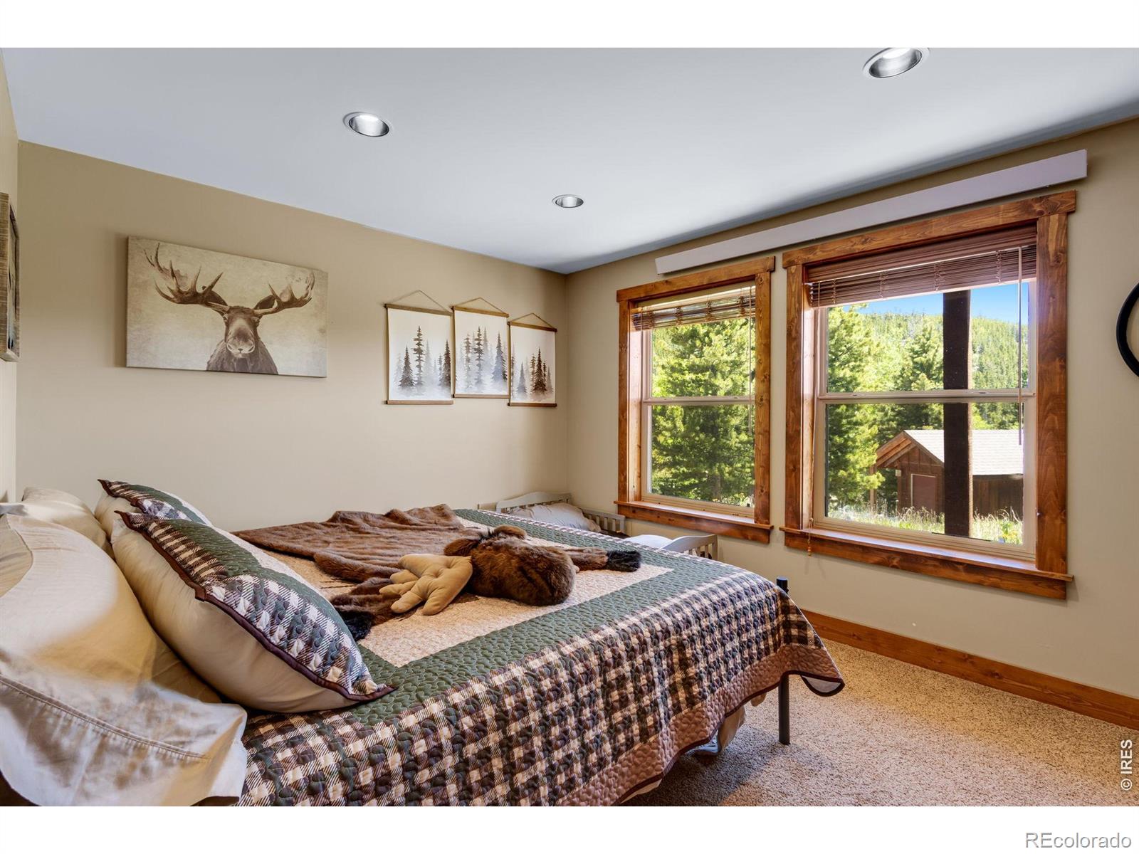 MLS Image #42 for 2272  osage trail,red feather lakes, Colorado