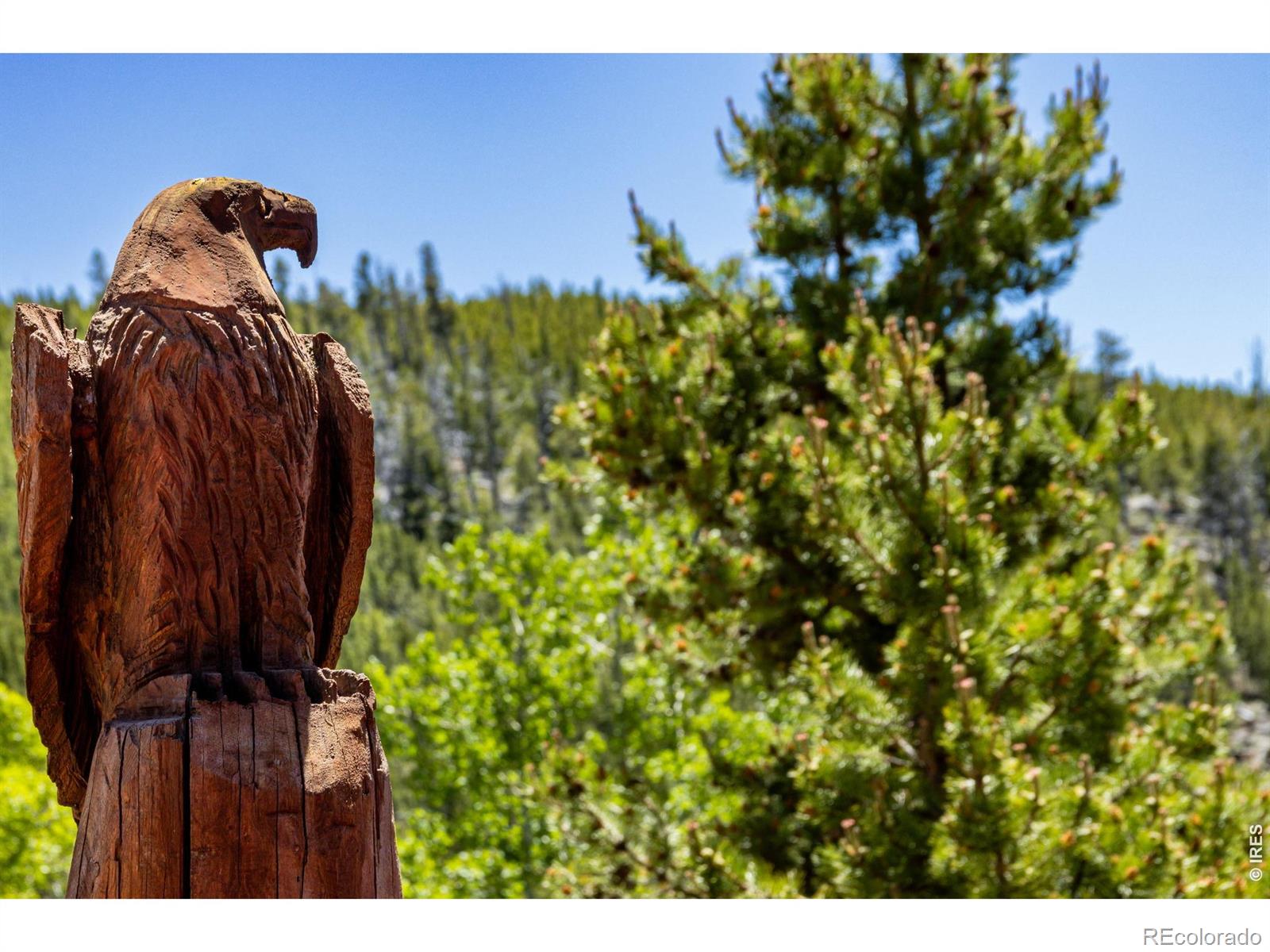 MLS Image #8 for 2272  osage trail,red feather lakes, Colorado