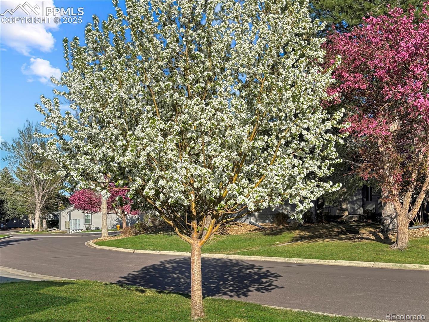 MLS Image #38 for 422  cobblestone drive,colorado springs, Colorado