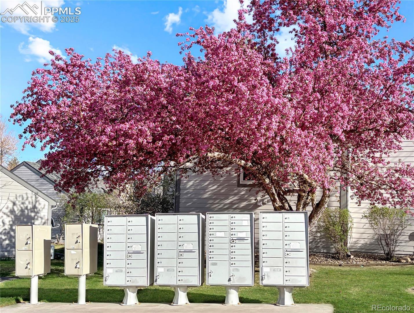 MLS Image #43 for 422  cobblestone drive,colorado springs, Colorado