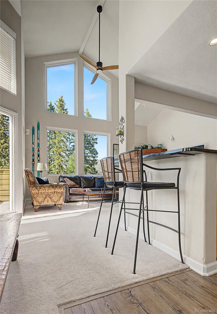 MLS Image #10 for 4020  silverheels drive,silverthorne, Colorado