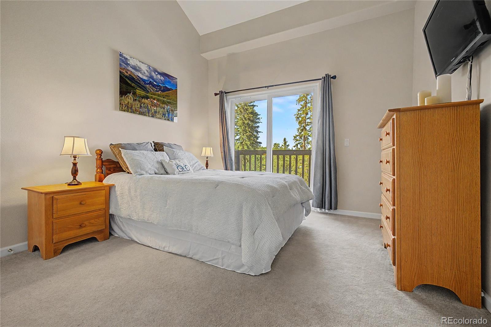 MLS Image #20 for 4020  silverheels drive,silverthorne, Colorado