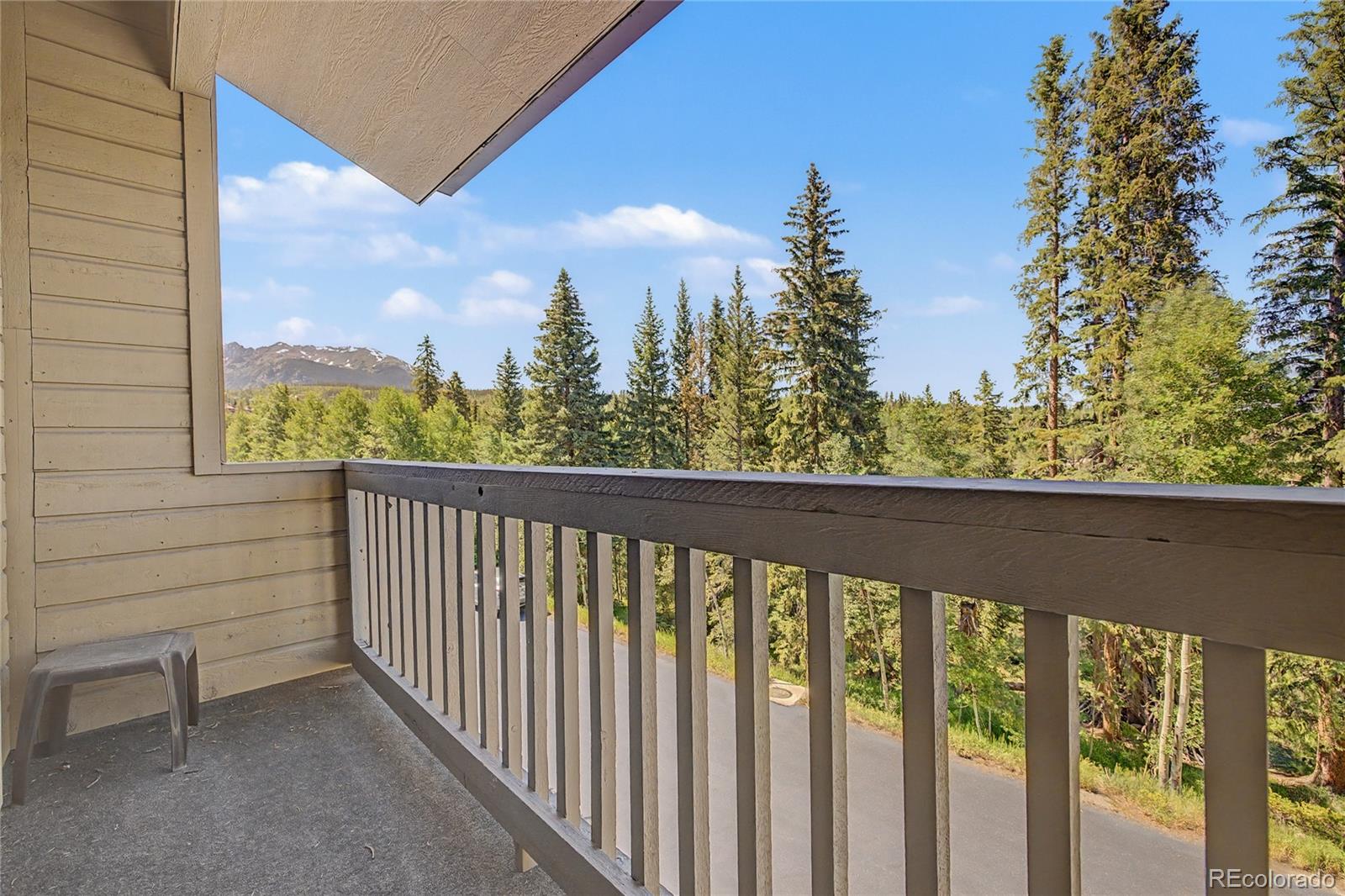 MLS Image #22 for 4020  silverheels drive,silverthorne, Colorado