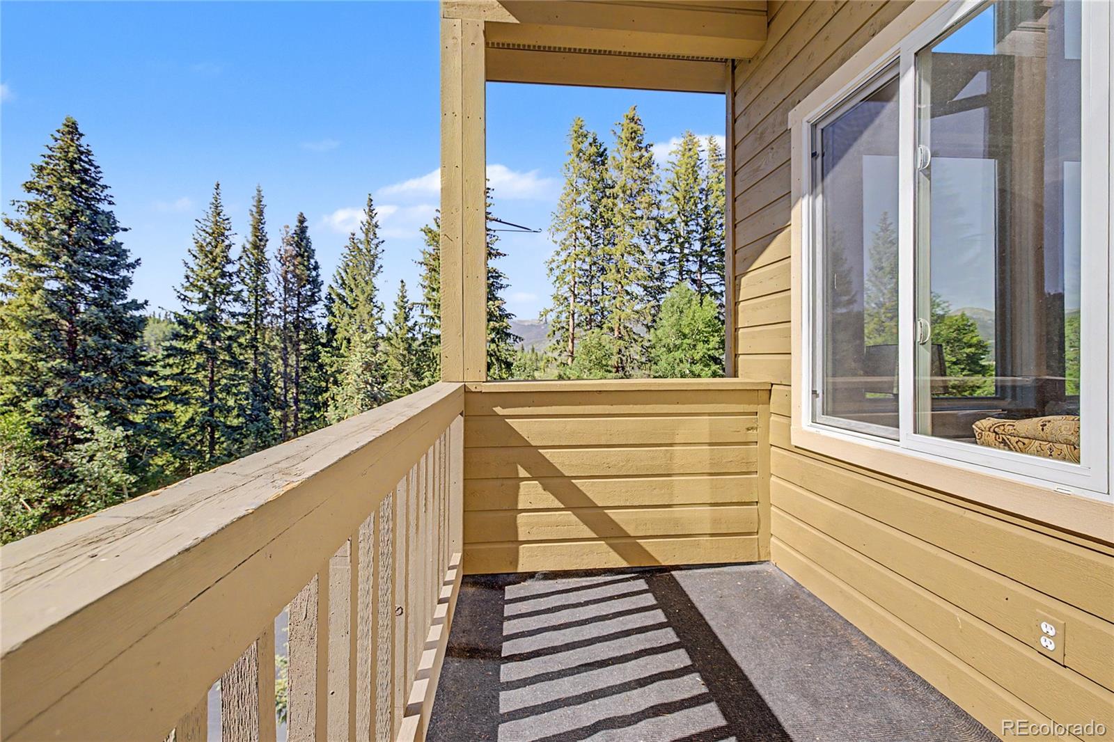 MLS Image #6 for 4020  silverheels drive,silverthorne, Colorado