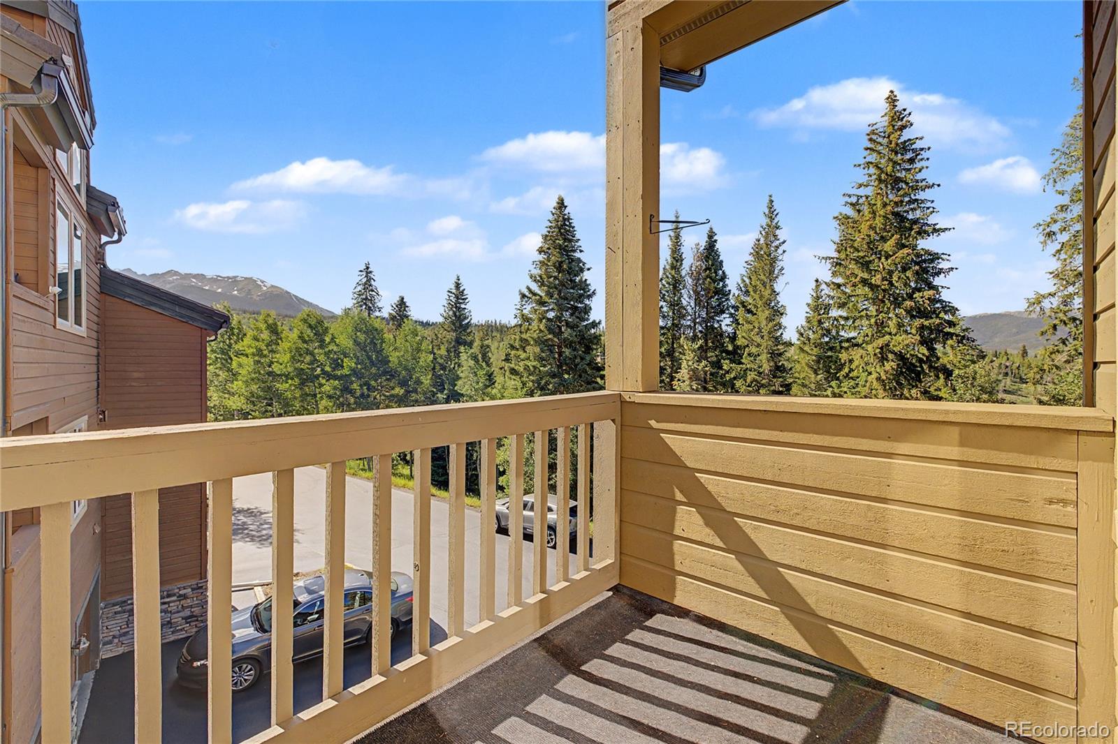 MLS Image #8 for 4020  silverheels drive,silverthorne, Colorado