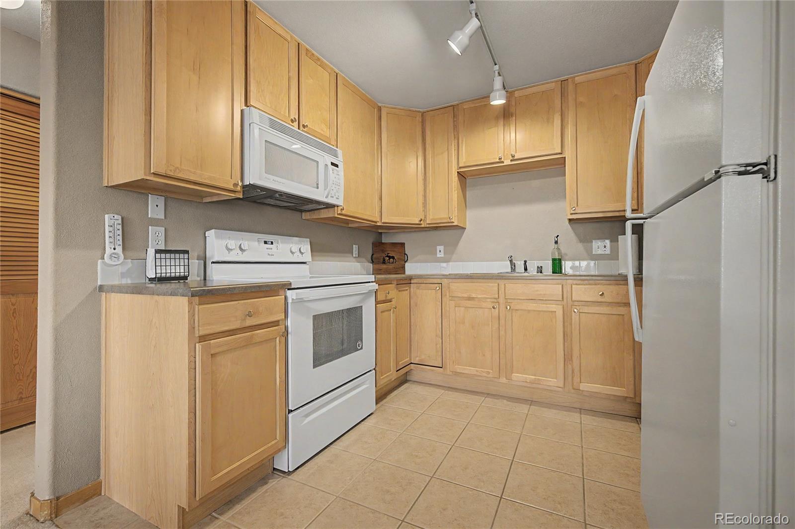 MLS Image #13 for 100  wildernest court,silverthorne, Colorado