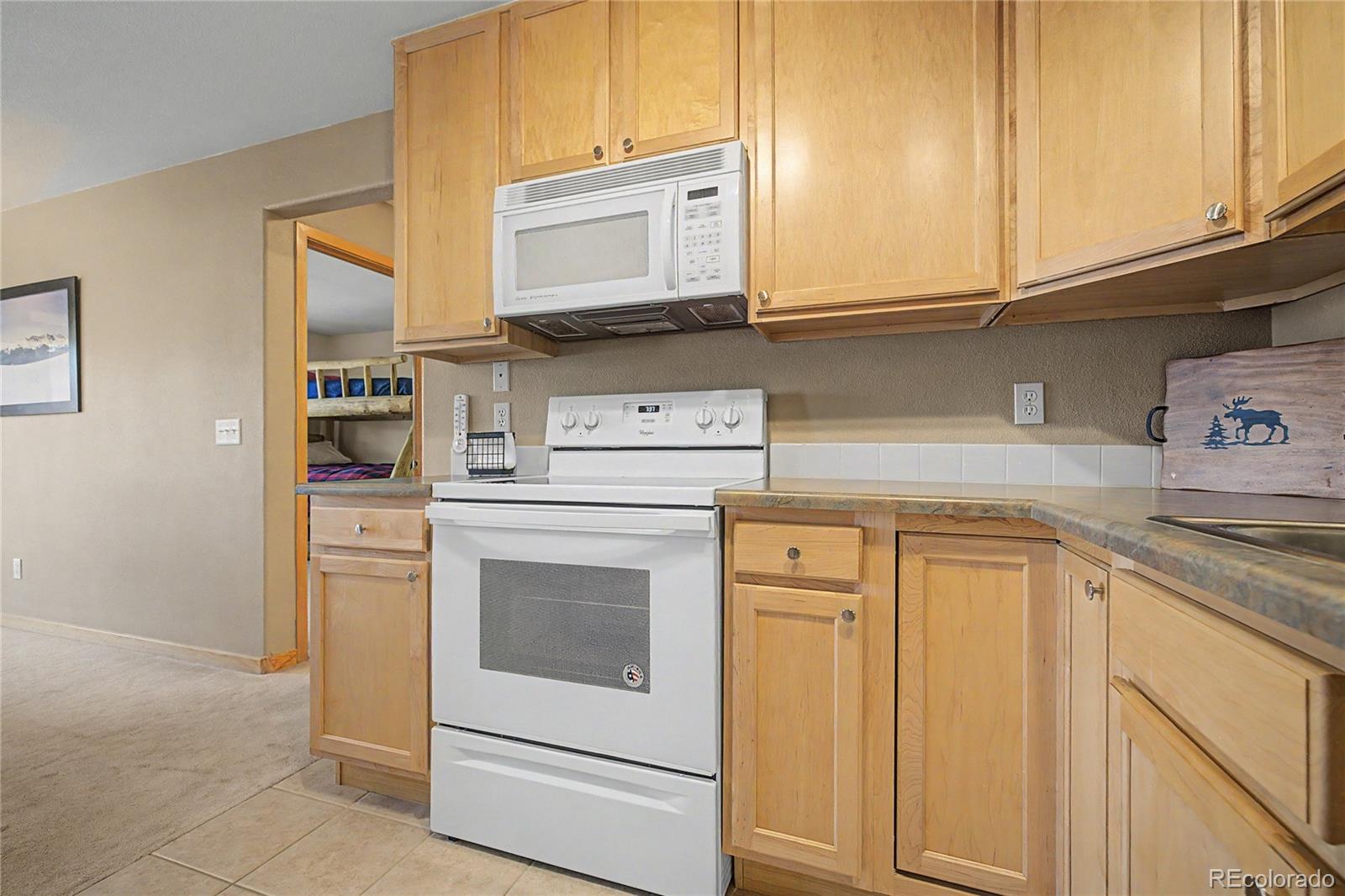 MLS Image #14 for 100  wildernest court,silverthorne, Colorado
