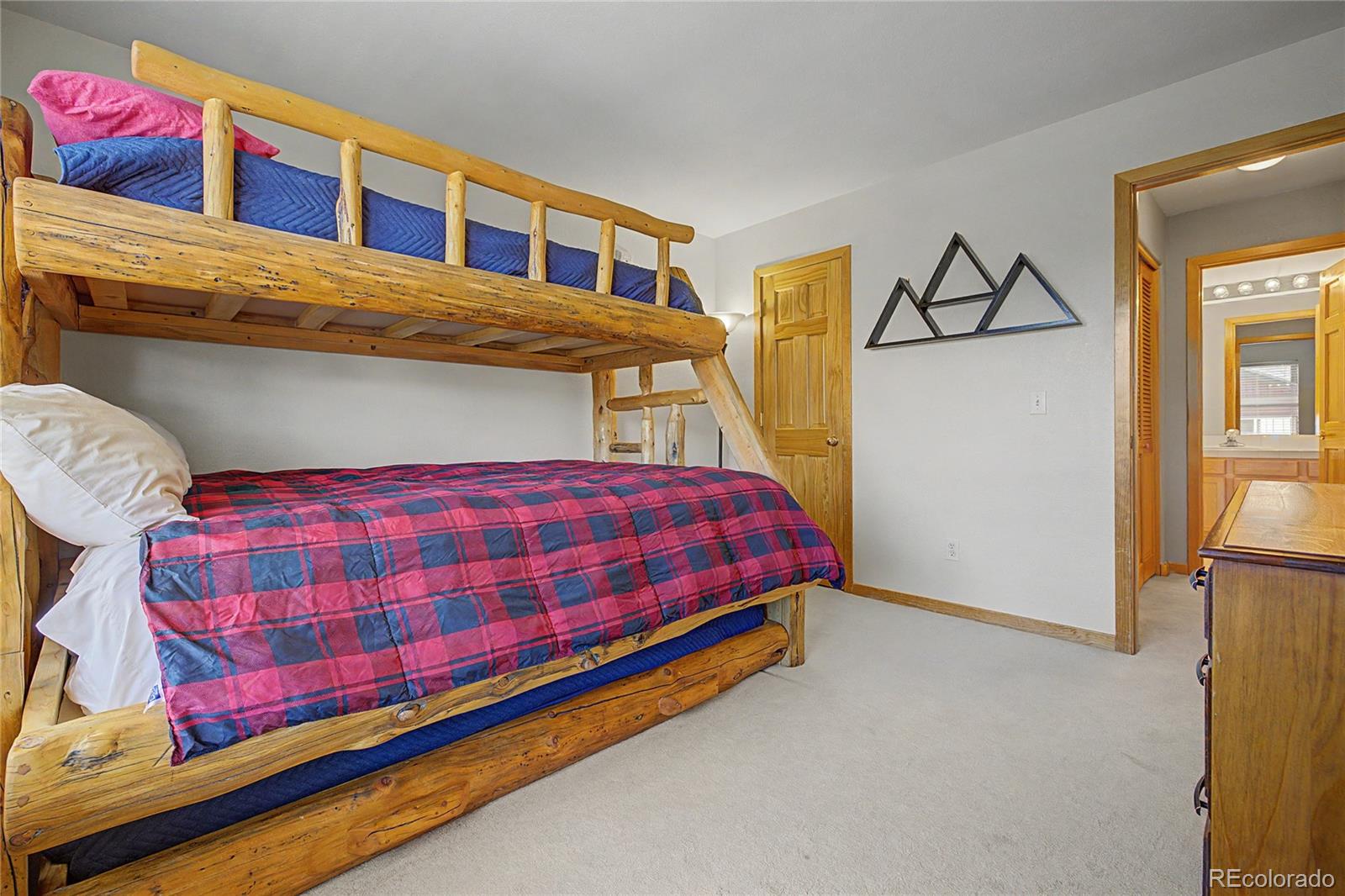 MLS Image #19 for 100  wildernest court,silverthorne, Colorado