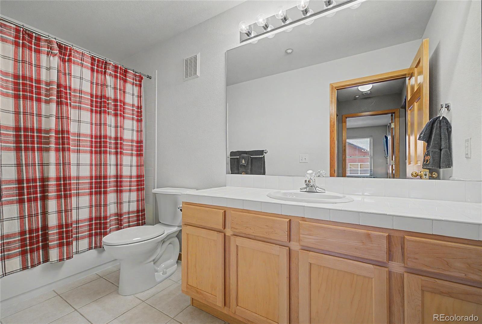 MLS Image #20 for 100  wildernest court,silverthorne, Colorado