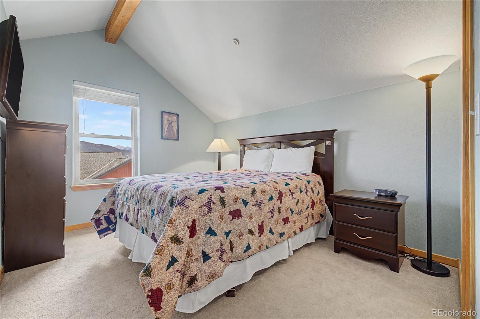 MLS Image #21 for 100  wildernest court,silverthorne, Colorado