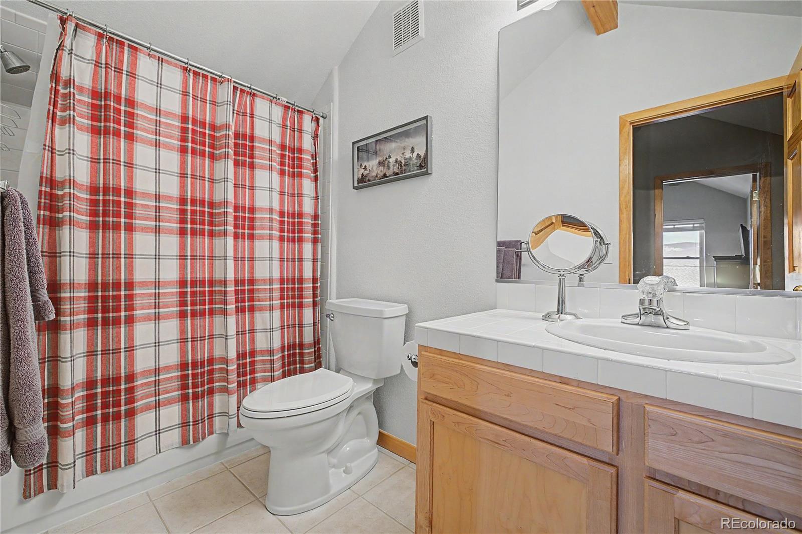 MLS Image #23 for 100  wildernest court,silverthorne, Colorado