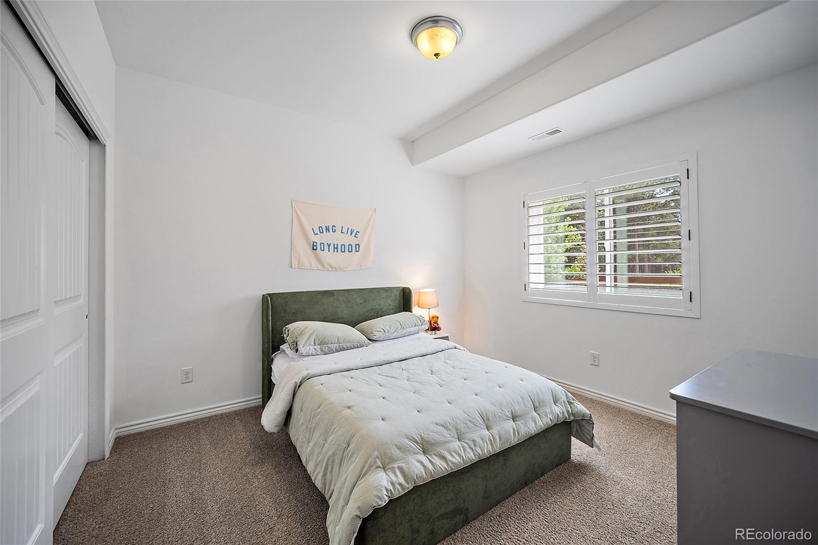 MLS Image #42 for 1558  summerglow lane,monument, Colorado
