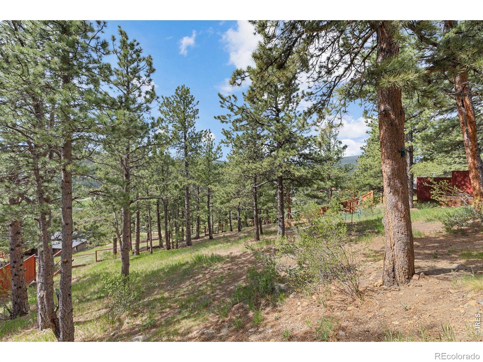 MLS Image #38 for 2  king place,nederland, Colorado
