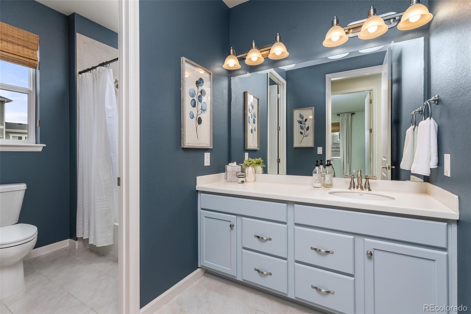 MLS Image #24 for 6315  leilani lane,castle rock, Colorado