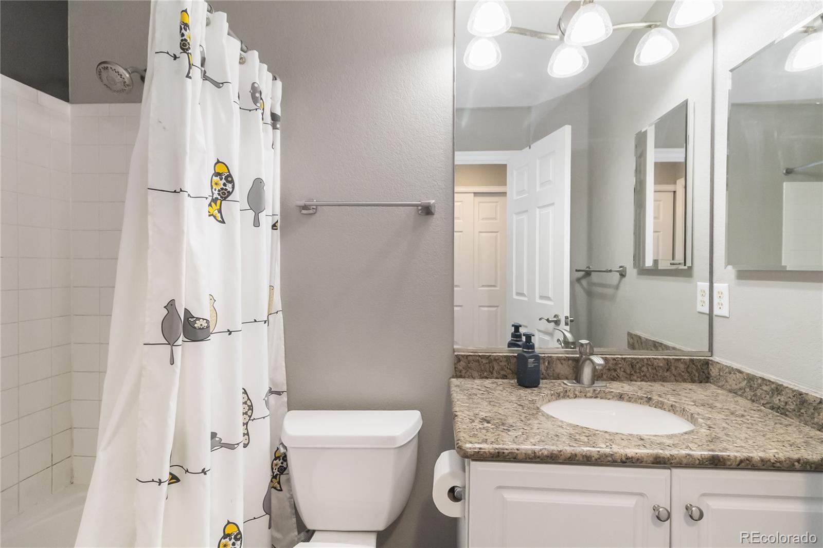 MLS Image #13 for 164  willowick circle,littleton, Colorado
