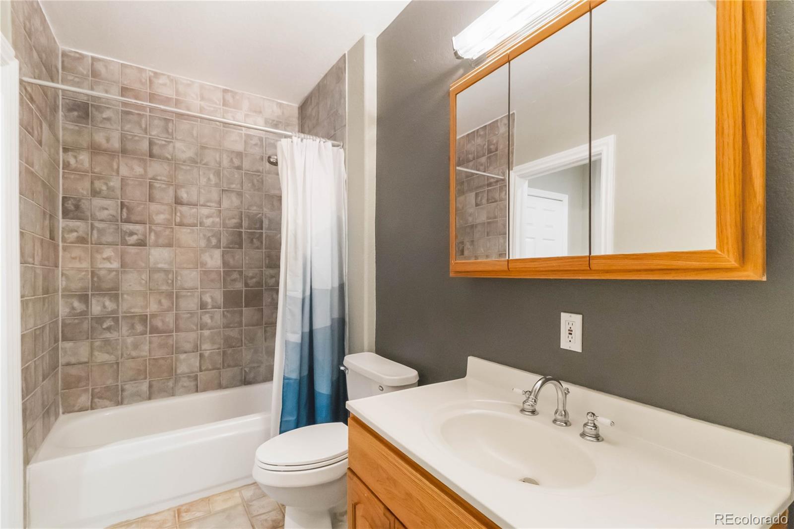 MLS Image #19 for 164  willowick circle,littleton, Colorado