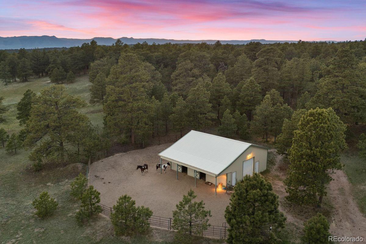 MLS Image #3 for 10840  vollmer road,colorado springs, Colorado