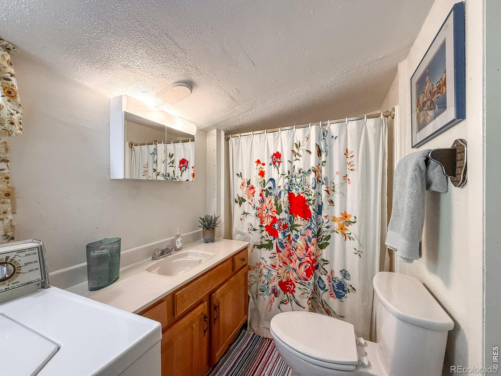 MLS Image #16 for 438  aspen drive,lyons, Colorado