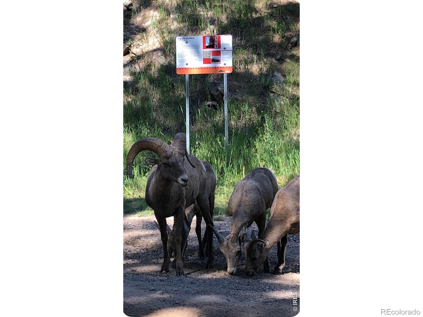 MLS Image #24 for 438  aspen drive,lyons, Colorado