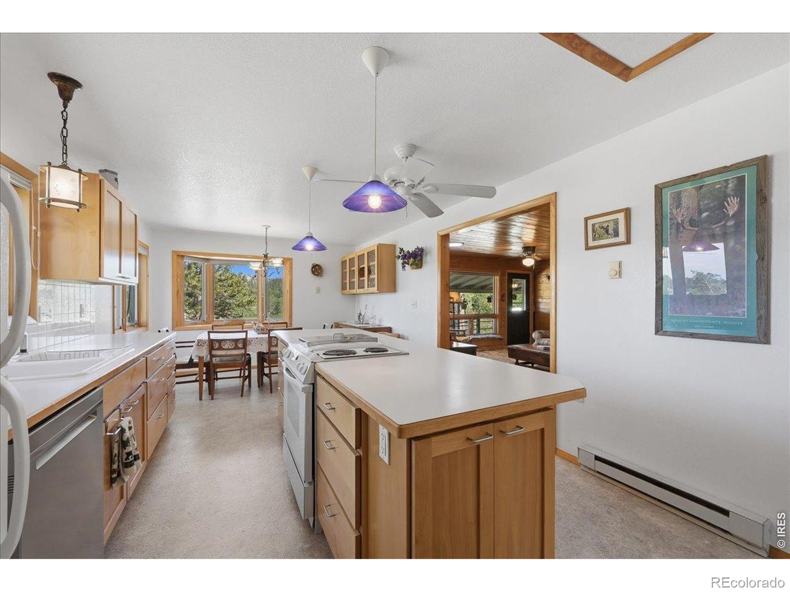 MLS Image #16 for 409  shagwa drive,red feather lakes, Colorado