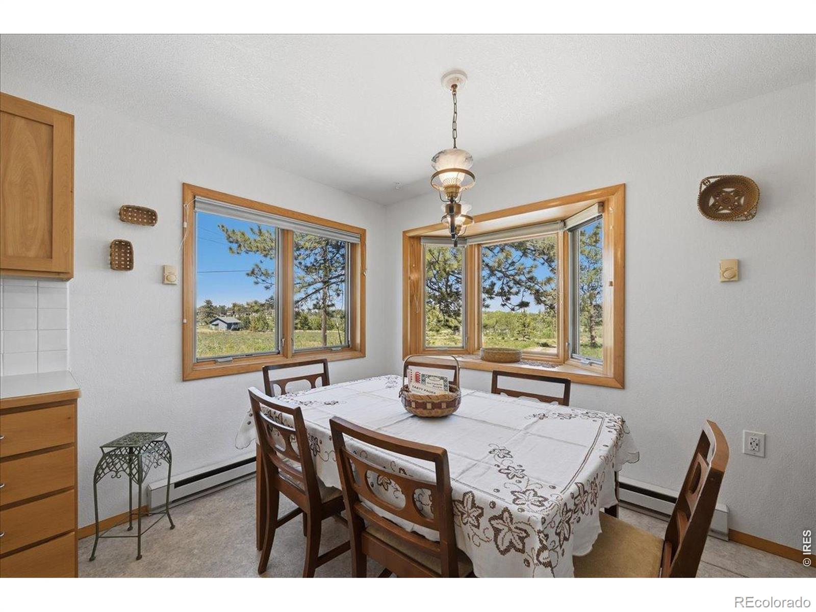 MLS Image #19 for 409  shagwa drive,red feather lakes, Colorado