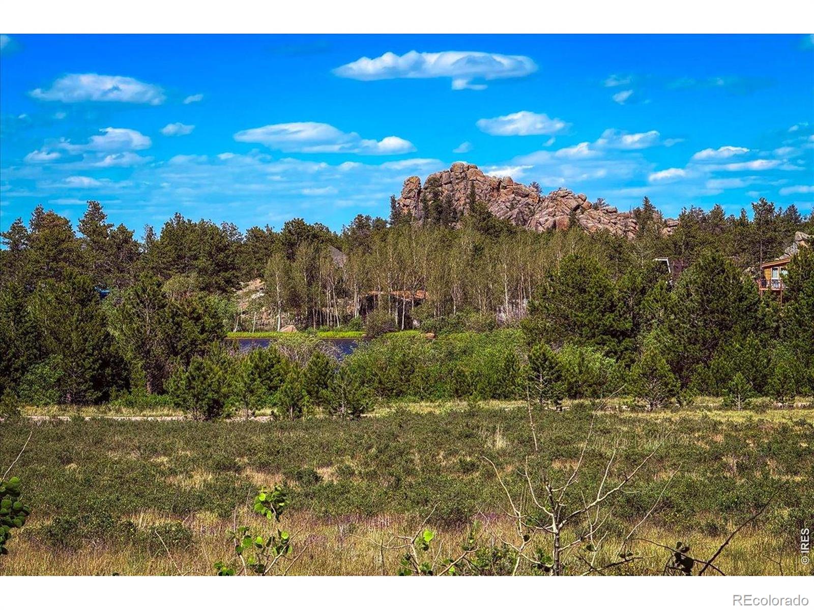MLS Image #5 for 409  shagwa drive,red feather lakes, Colorado