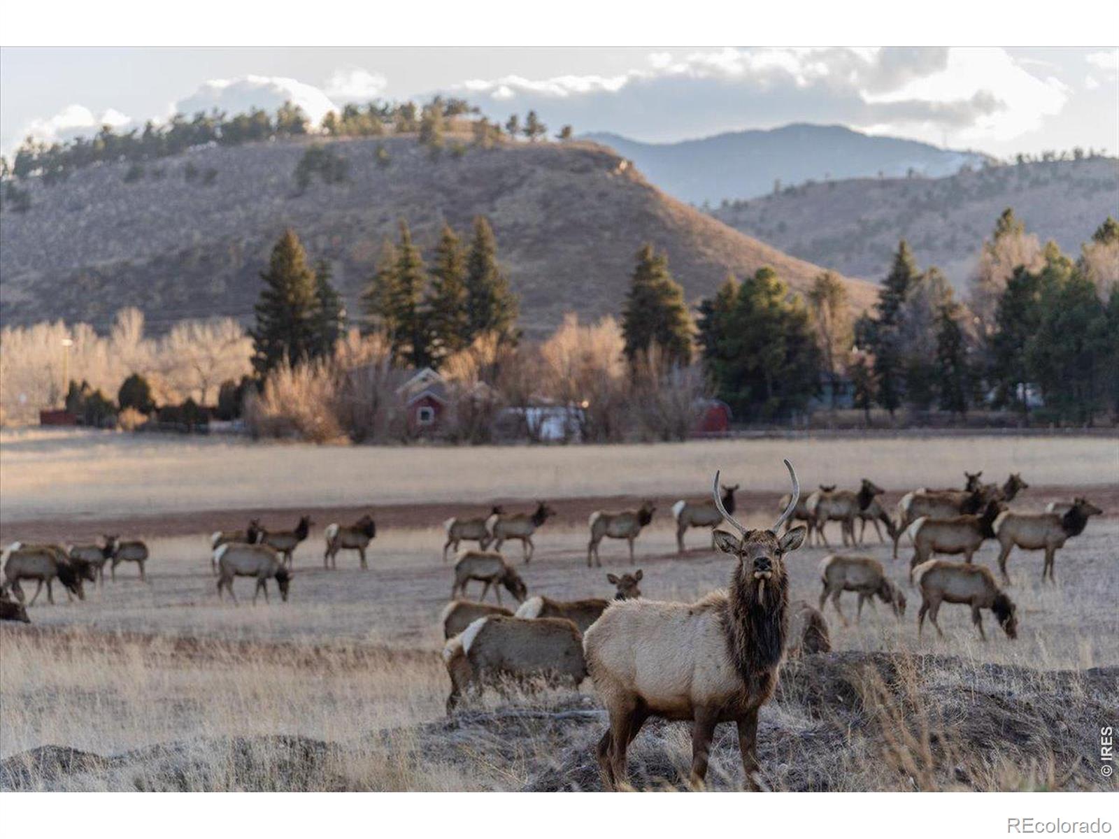 MLS Image #38 for 3336  huckleberry way,loveland, Colorado