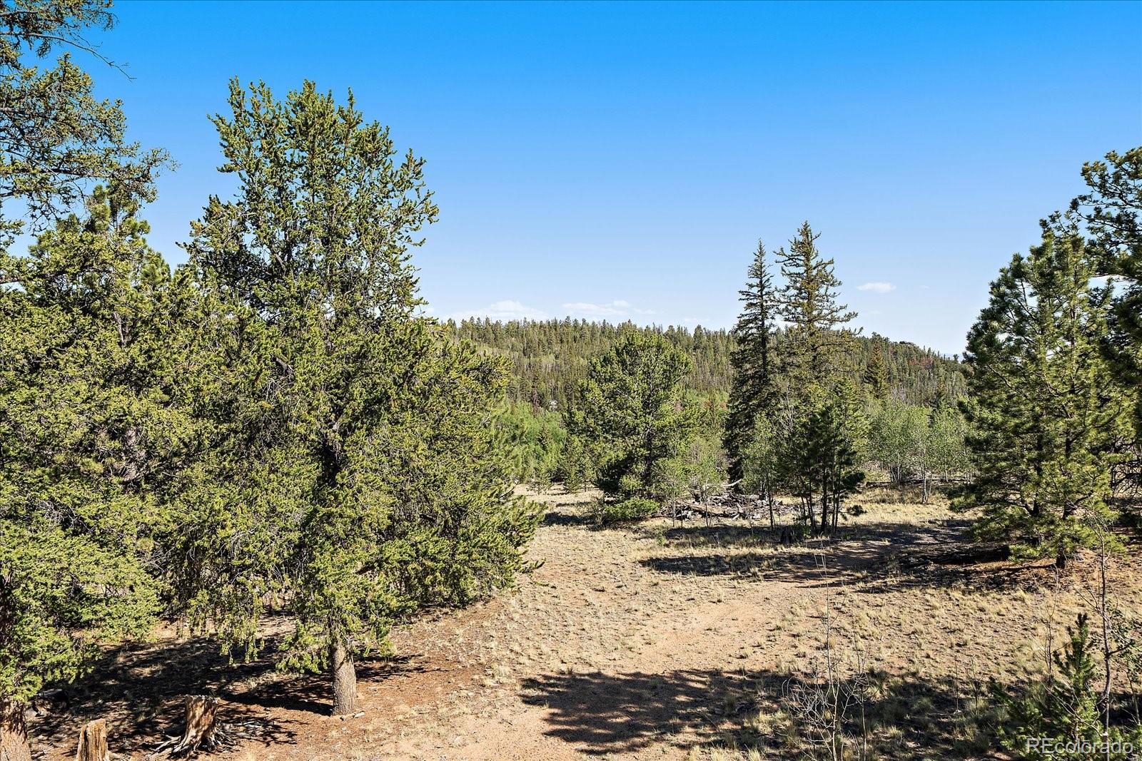 MLS Image #29 for 1720  ute trail,como, Colorado