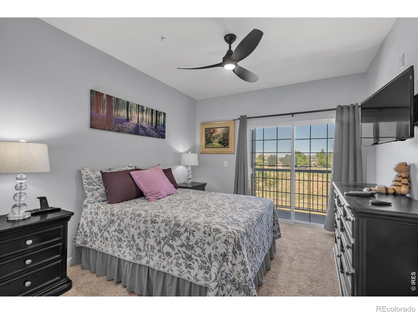MLS Image #24 for 2985  blue sky circle,erie, Colorado
