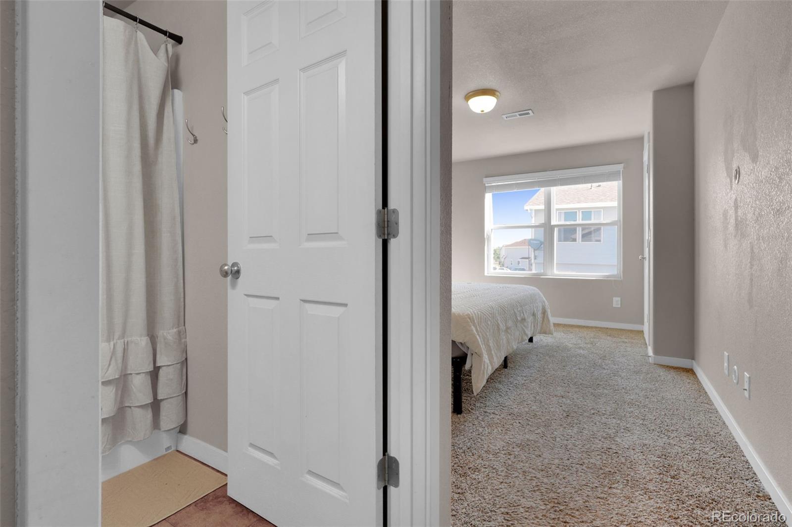 MLS Image #19 for 450  stardust court,dacono, Colorado