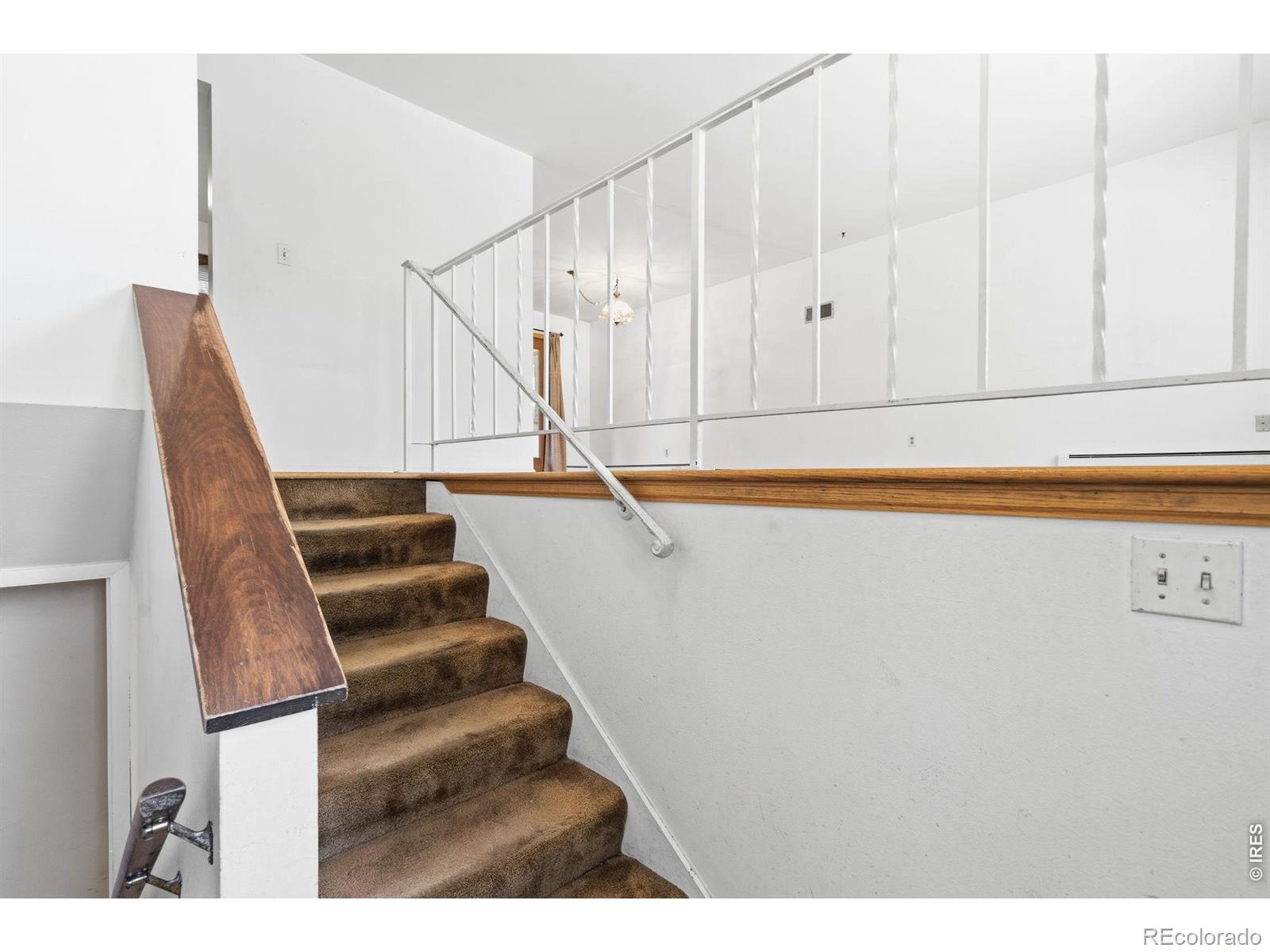MLS Image #3 for 2424  sheffield circle,fort collins, Colorado
