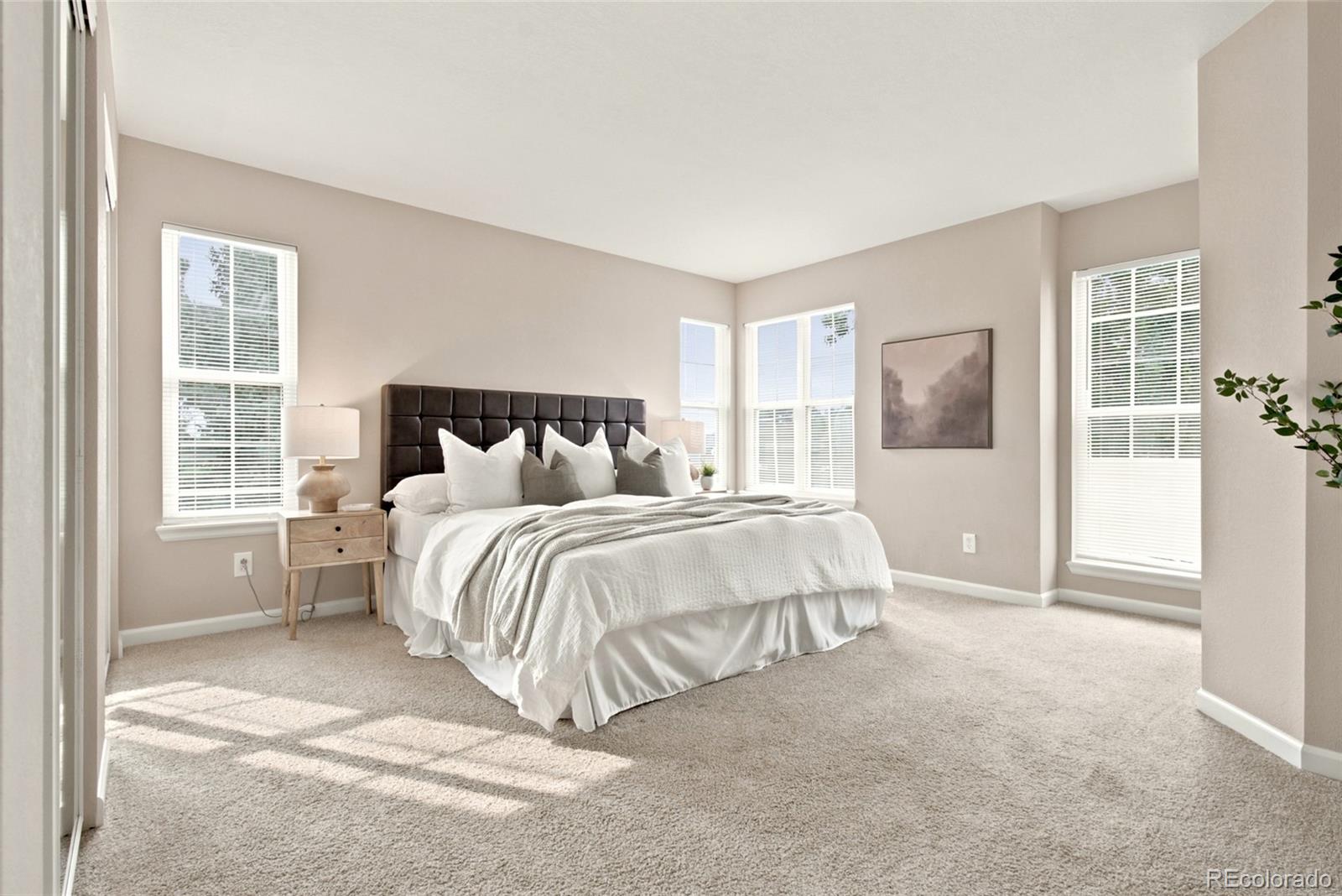 MLS Image #28 for 21721  saddlebrook drive,parker, Colorado
