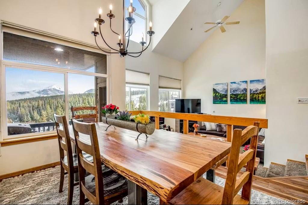 MLS Image #2 for 31  justin court,silverthorne, Colorado