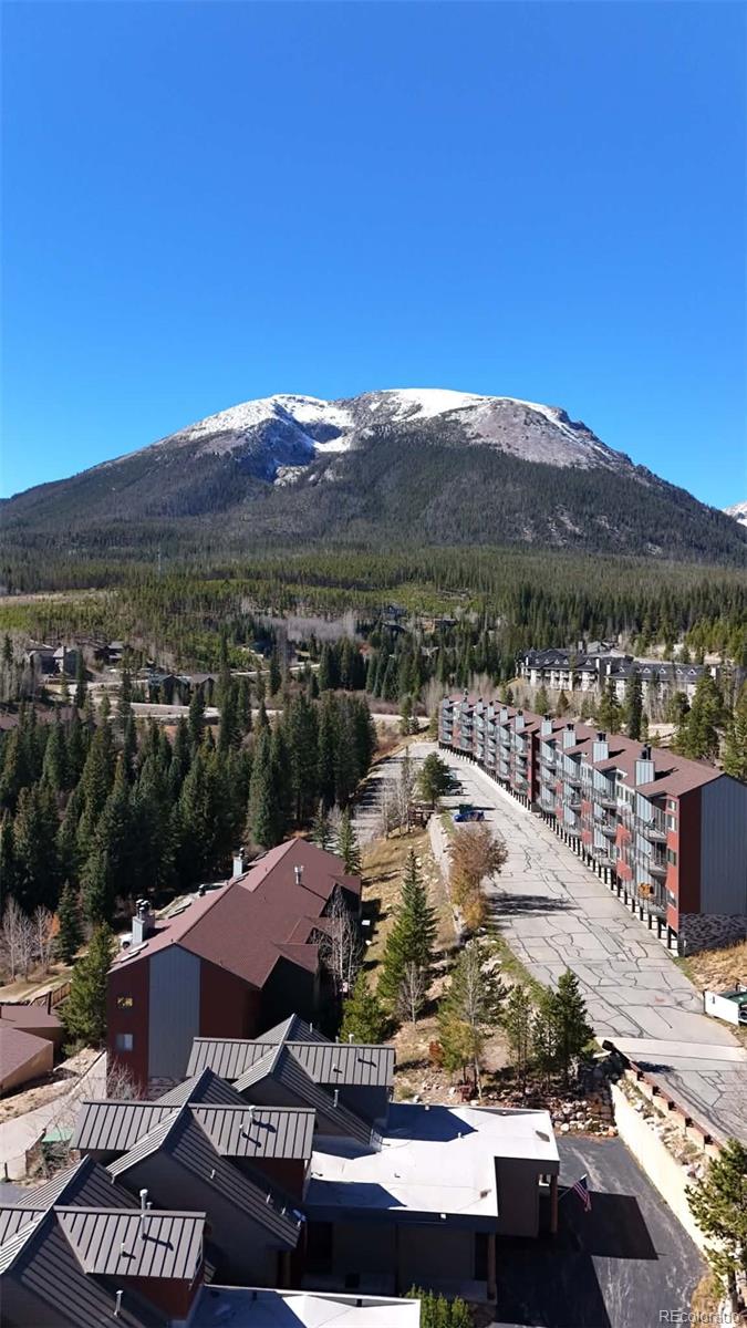 MLS Image #21 for 31  justin court,silverthorne, Colorado