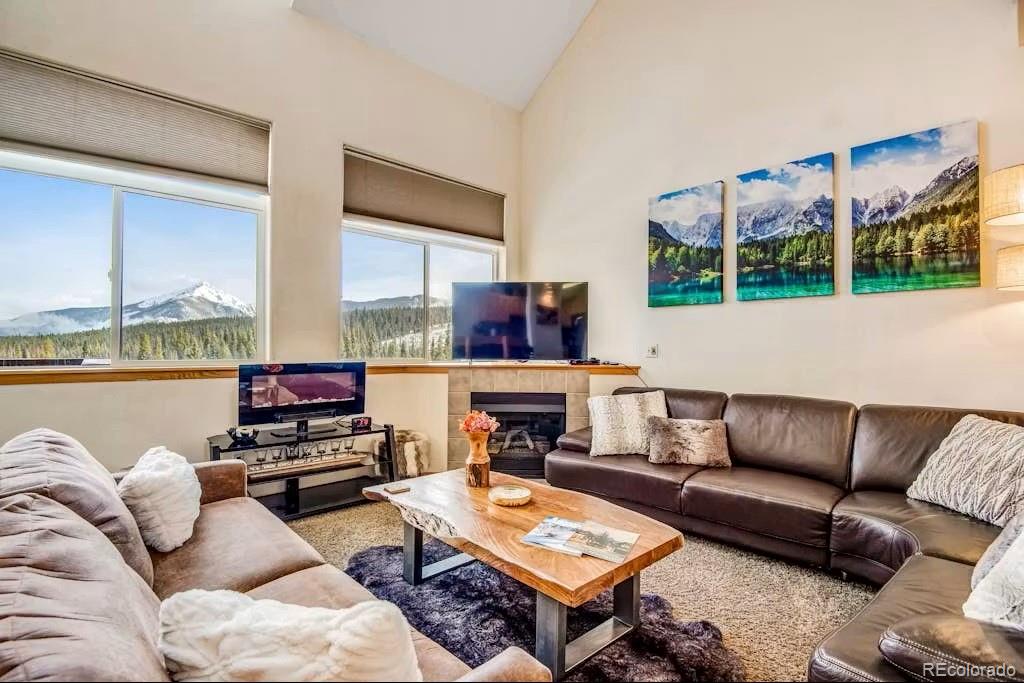 MLS Image #8 for 31  justin court,silverthorne, Colorado