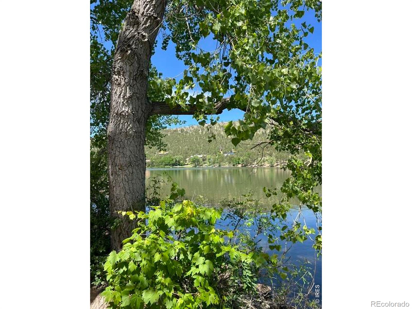 MLS Image #6 for 2959 s lakeridge trail,boulder, Colorado