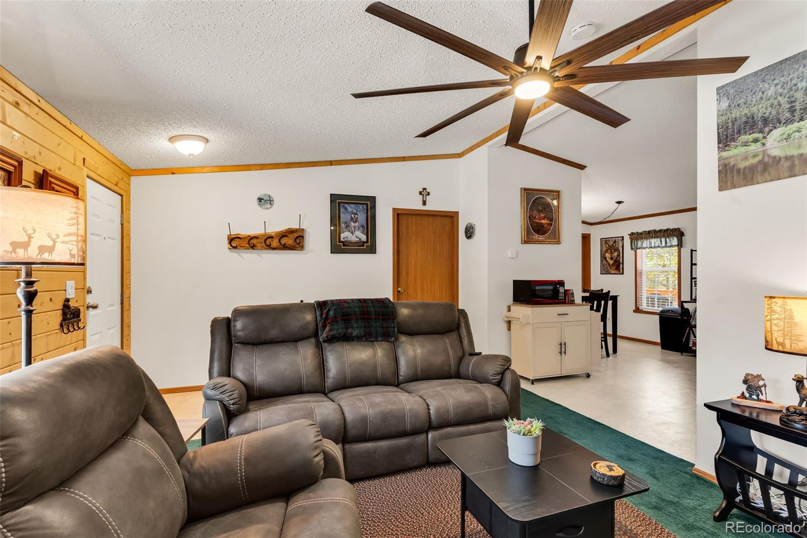 MLS Image #13 for 1576  i path,cotopaxi, Colorado