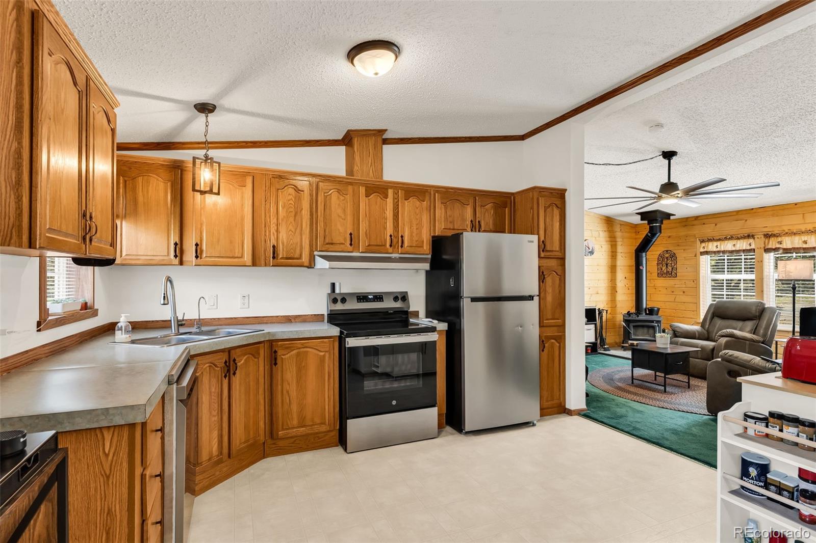 MLS Image #16 for 1576  i path,cotopaxi, Colorado