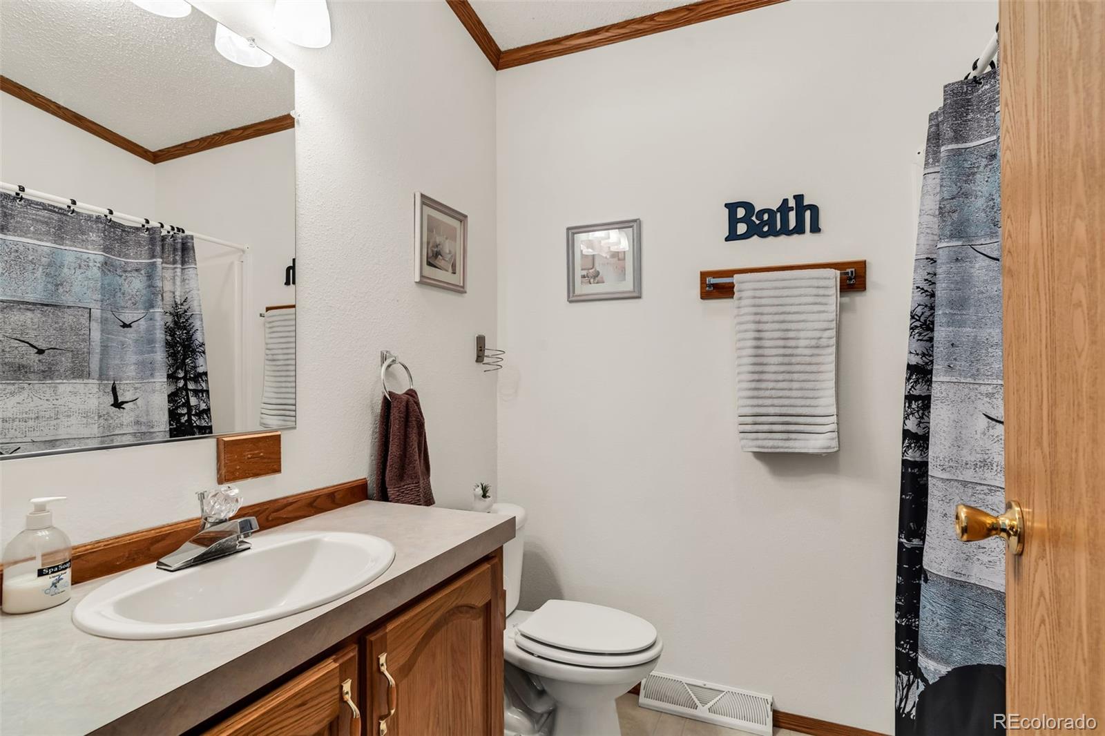 MLS Image #21 for 1576  i path,cotopaxi, Colorado