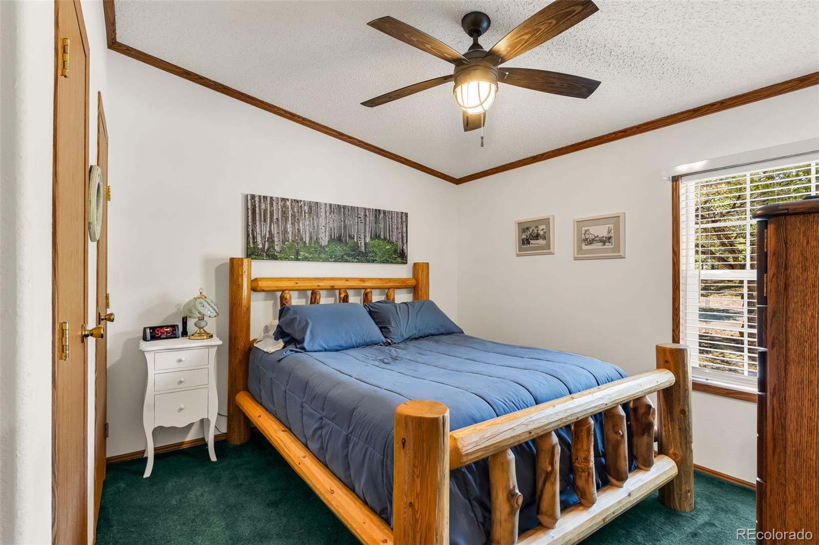 MLS Image #22 for 1576  i path,cotopaxi, Colorado